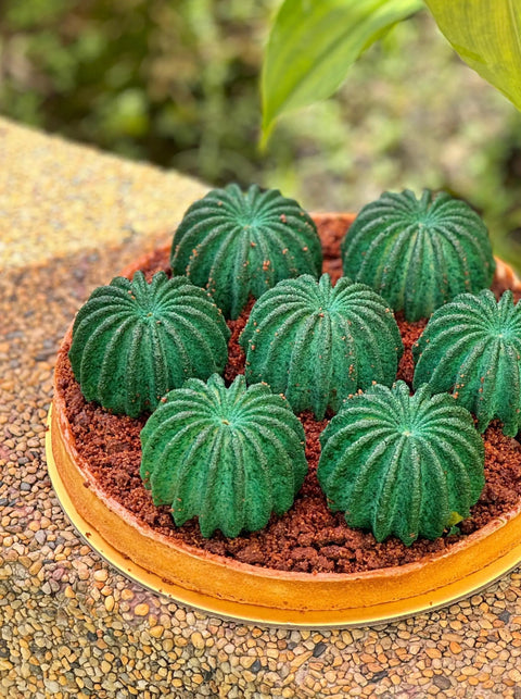 Cactus Garden Keong Saik Bakery